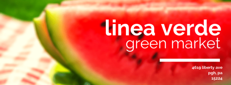 Linea Verde logo